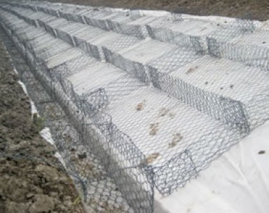 重慶雙隔板雷諾護墊